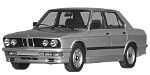 BMW E28 P1848 Fault Code